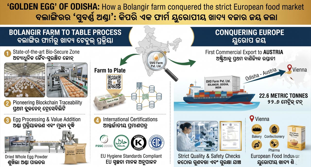 Odisha's &lsquo;Golden Egg&rsquo; Enters Europe as Balangir Firm Exports First Dried Egg Powder Consignment to Austria